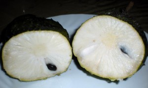 Guyabano, The SourSop Fruit.